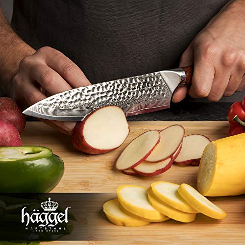 Haggel 8" Professional Chef Knife Damascus Steel - VG10 Grade - the best Value Razor Sharp Kitchen Knife - Hand Hammered Stainless Steel blade - Full Tang Rosewood Handle
