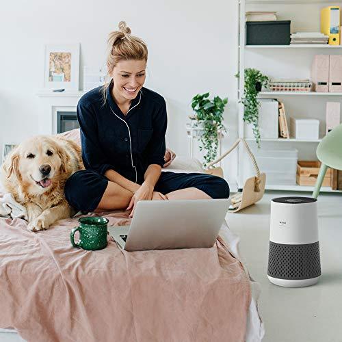 Winix A231 Tower H13 True HEPA 4-Stage Air Purifier, Perfect for Home office, Home classroom, Bedroom and Nursery, White and Charcoal Grey Small - Sales4U