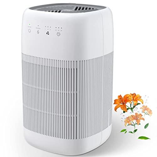 Air Purifier and Dehumidifier in 1, Afloia Q10 True HEPA Air Purifier with H13 HEPA Filter, Small Dehumidifier Combined with Air Cleaner, Remove Pet Odors Dust Smoke for Home, Bedroom, Bathroom - Sales4U