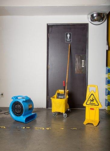 Soleaire Max Storm 1/2 HP Durable Lightweight Air Mover Carpet Dryer Blower Floor Fan for Pro Janitorial Cleaner, Blue, 1 Pack - Sales4U
