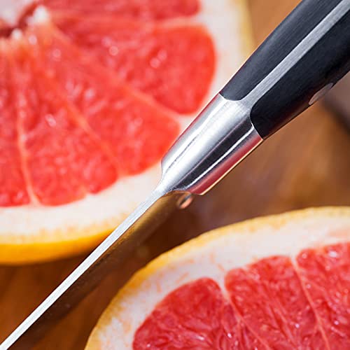 Stellar Sabatier IS60B 6-Piece Set of Knives with Black Knife Block, Razor Sharp Stainless Steel Blades - Fully Guaranteed