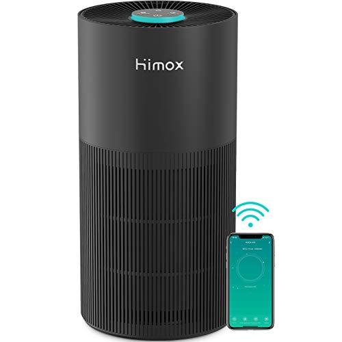 Air Purifiers for Home Bedroom Office, 20dB Quiet H13 True HEPA Filter Airpurifier, Air Cleaner Large Room, Remove 99.99% Dust Bacteria Viruses Smoke Mold Allergies Pet Hair Dander Pollen,WiFi Control - Sales4U