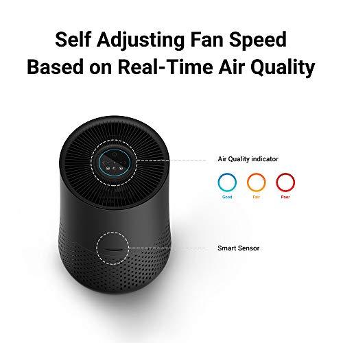 Winix A230 Tower H13 True HEPA 4-Stage Air Purifier, Perfect for Home office, Home classroom, Bedroom and Nursery, Charcoal Grey - Sales4U