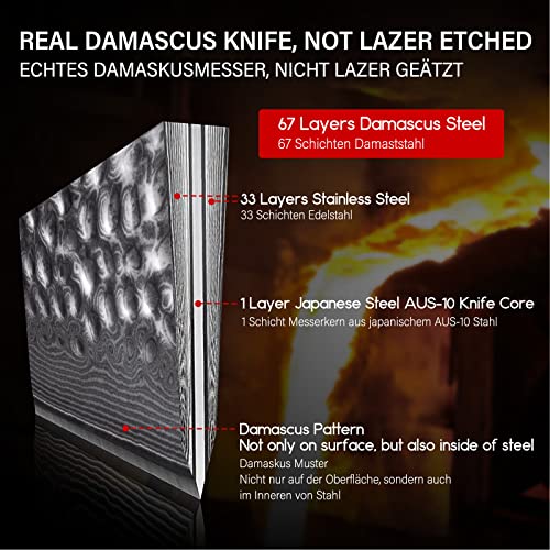 Chef Knife, Damascus Steel Knife 8 Inch, SHAN ZU Professional Chefs Knife Sharp High Carbon Steel Kitchen Utility Knives with Gift Box