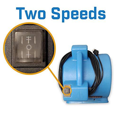Soleaire Max Storm 1/2 HP Durable Lightweight Air Mover Carpet Dryer Blower Floor Fan for Pro Janitorial Cleaner, Blue, 1 Pack - Sales4U