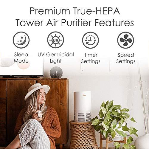 Crane Air Purifier with True HEPA Filter, Germicidal UV Light, 300 Sq Feet Coverage, Timer Function, Sleep Mode, Washable Particle Filter, EE-5068 - Sales4U