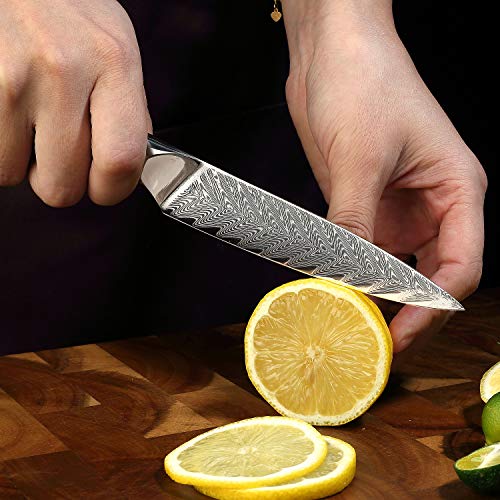 SIXILANG Knife Set, Professional Damascus Chef Knives 3 PCS, 67 Layer Japanese AUS10 Steel Core Forged Kitchen Knives, Well-Balanced Full Tang Handle Triple Rivet Handle with Premium black Gift Box