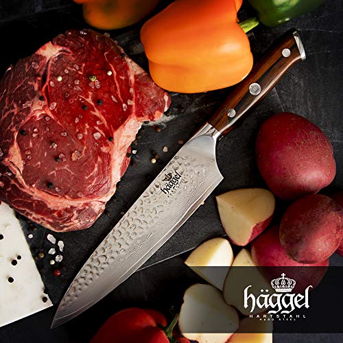 Haggel 8" Professional Chef Knife Damascus Steel - VG10 Grade - the best Value Razor Sharp Kitchen Knife - Hand Hammered Stainless Steel blade - Full Tang Rosewood Handle