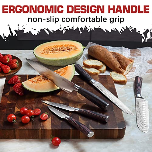 PAUDIN Knife Set, 5 Pcs Kitchen Knife Set with Sharp High Carbon Stainless Steel Forged Blade and Non-Slip Pakkawood Handle, Professional Knives Set for Kitchen, Chef Knife Set Come with Gift Box