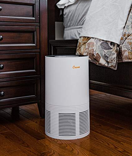 Crane Air Purifier with True HEPA Filter, Germicidal UV Light, 300 Sq Feet Coverage, Timer Function, Sleep Mode, Washable Particle Filter, EE-5068 - Sales4U