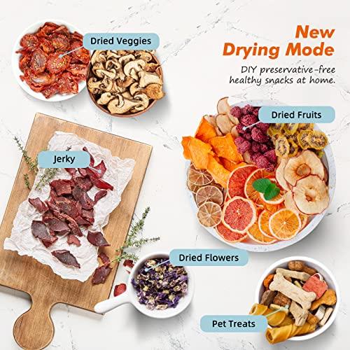 Septree Food Dehydrator for Jerky, Fruit, Meat, Veggies, Dog Treats, Herbs and Yogurt, 6 Stainless Steel Trays Food Dryer Machine with Digital Timer, Temperature Control & Safety Over Heat Protection, Recipe Book - Sales4U