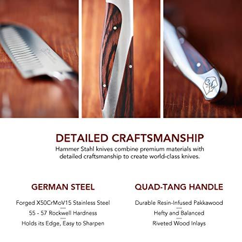 Hammer Stahl 10-Inch Chef Knife - High Carbon German Forged Steel - Professional Kitchen Knife - Ergonomic Quad-Tang Pakkawood Handle - Sales4U