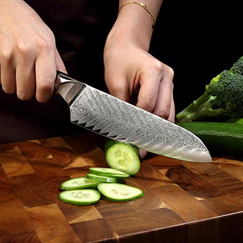 SIXILANG Knife Set, Professional Damascus Chef Knives 3 PCS, 67 Layer Japanese AUS10 Steel Core Forged Kitchen Knives, Well-Balanced Full Tang Handle Triple Rivet Handle with Premium black Gift Box