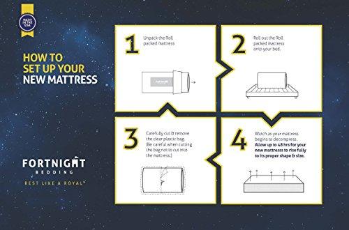 FORTNIGHT BEDDING 6 inch Foam Mattress with Durable Fabric Cover 30x74 inch for RV, Cot, Folding Bed & Daybed - CertiPUR-US Certified – Made in USA - Sales4U
