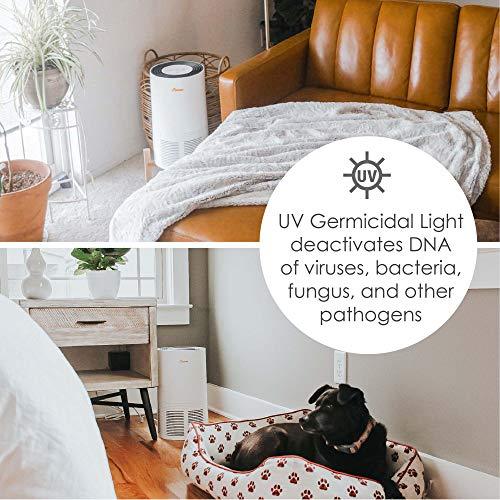 Crane Air Purifier with True HEPA Filter, Germicidal UV Light, 300 Sq Feet Coverage, Timer Function, Sleep Mode, Washable Particle Filter, EE-5068 - Sales4U