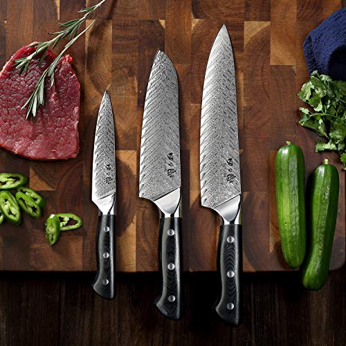 SIXILANG Knife Set, Professional Damascus Chef Knives 3 PCS, 67 Layer Japanese AUS10 Steel Core Forged Kitchen Knives, Well-Balanced Full Tang Handle Triple Rivet Handle with Premium black Gift Box