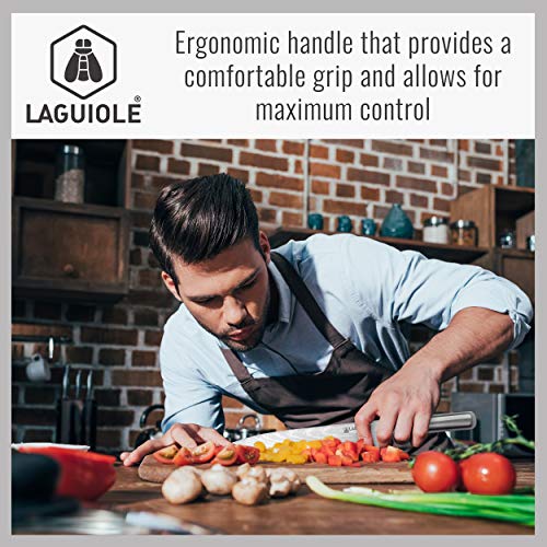 Laguiole 5-Piece Professional Chef's Knife Set with Magnetic Wood Board Holder for Kitchen