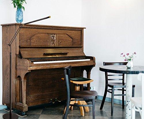 Cocoweb FLED-GPS High Powered Dimmable LED Piano Floor Lamp - Sales4U